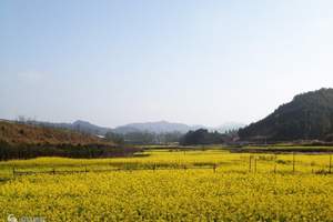 泉州到漳州古山重、玛琪雅朵花海赏花休闲一日游.