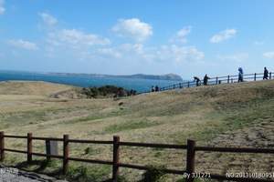 青岛去韩国旅游_去韩国豪华游船邮轮五日游