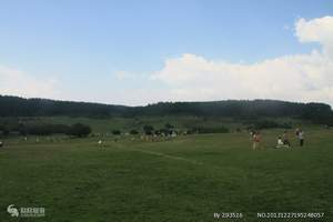 重庆到武隆仙女山旅游报价，仙女山一日游