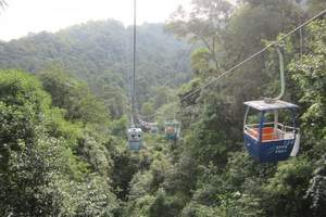 [昆明、石林-西双版纳 大巴+双飞5日旅游线路]野象谷听象鸣