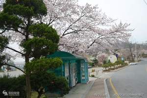 深圳去普陀山祈福 普陀山旅游攻略 海天佛国普陀洛迦双动车4日