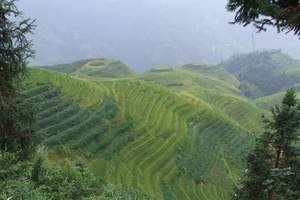 石家庄到桂林山水旅游、石家庄到桂林双卧六日游（龙脊梯田美景）