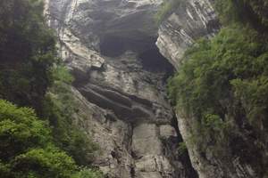 清凉、避暑、热卖！武汉到重庆武隆（仙女山）动车双座三日游