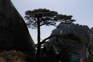 济南到黄山旅游  黄山【住山顶观日出】+西递、宏村双动4日游