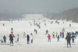 西柏坡滑雪场简介、春节假期石家庄旅游景点一日游、西柏坡滑雪票