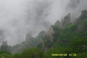 涞源白石山地接旅行社 白石山一日游旅游线路 最佳旅游线路